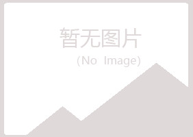 邛崃夏岚咨询有限公司